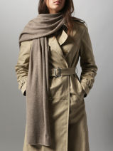 charpe Cachemire Vercors Etrier Marron vercors EVER427U-vue-porte