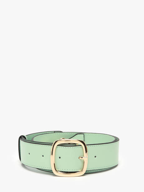 Shoulder Strap Altair Etrier Green altair EALA070L other view 1