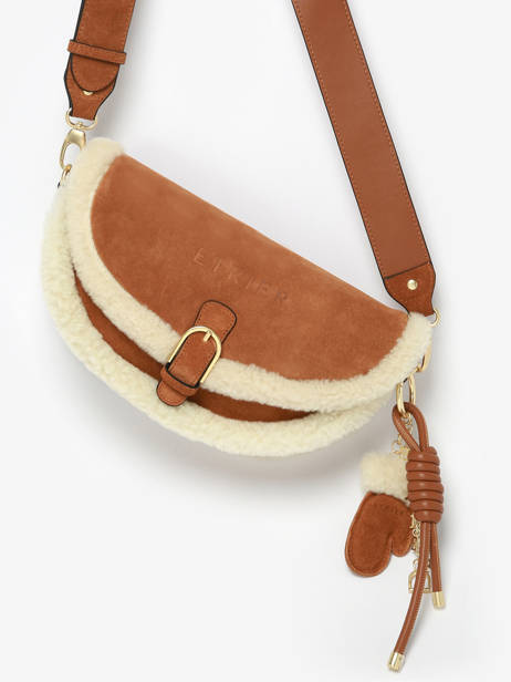 Sac Bandoulière Alpin Etrier Marron alpin EALP050S vue secondaire 1