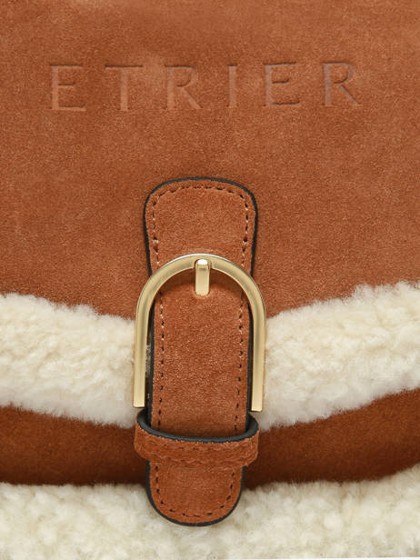 Sac Bandoulière Alpin Etrier Marron alpin EALP050S vue secondaire 4