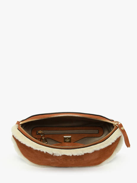 Sac Banane Etrier Marron alpin EALP022M vue secondaire 2